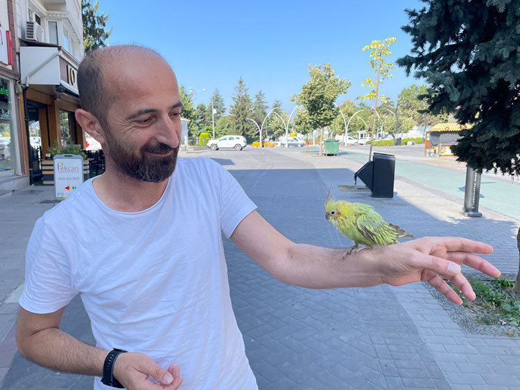 01.03_13_AA-31948619