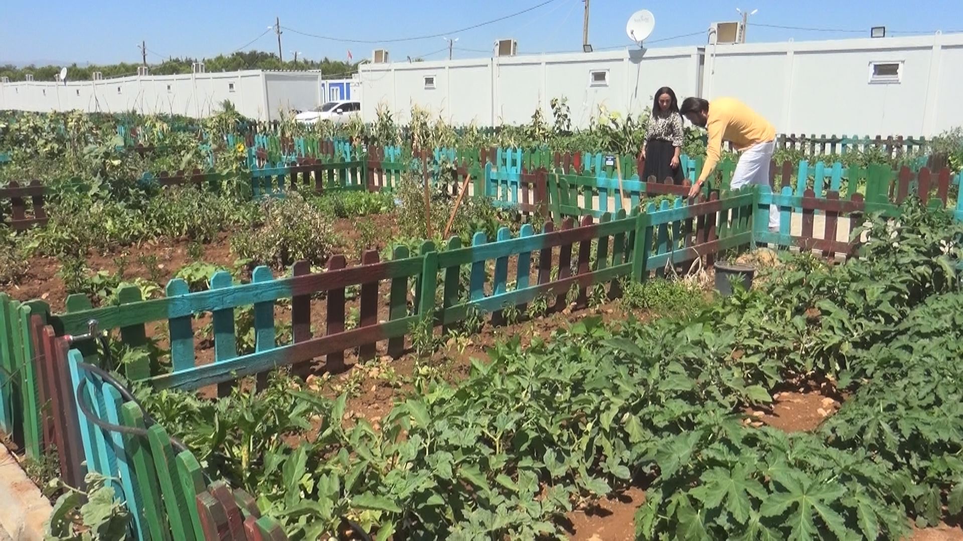 HALK EĞİTİM BAHÇE (3)