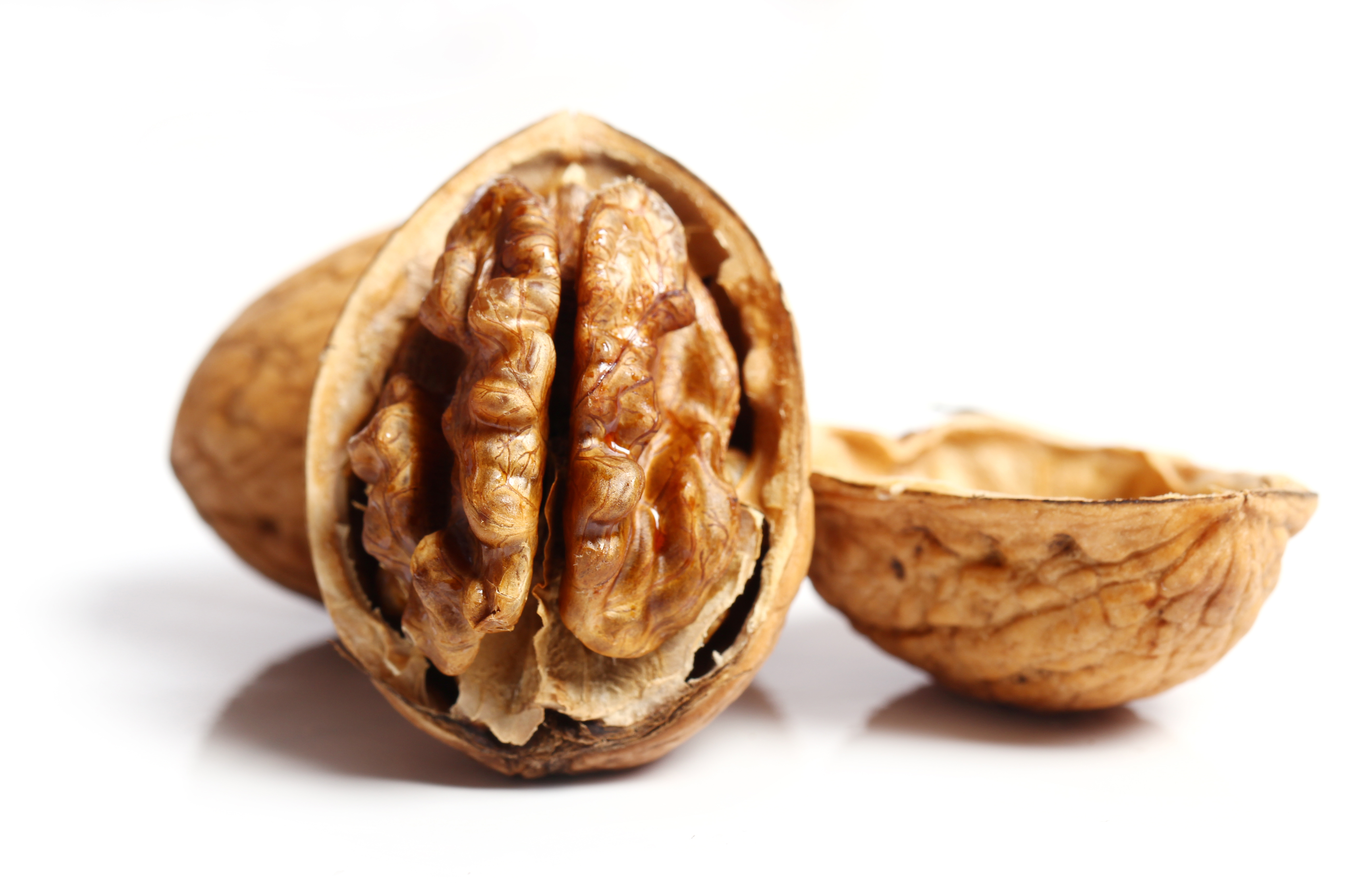 fresh-walnut (1)