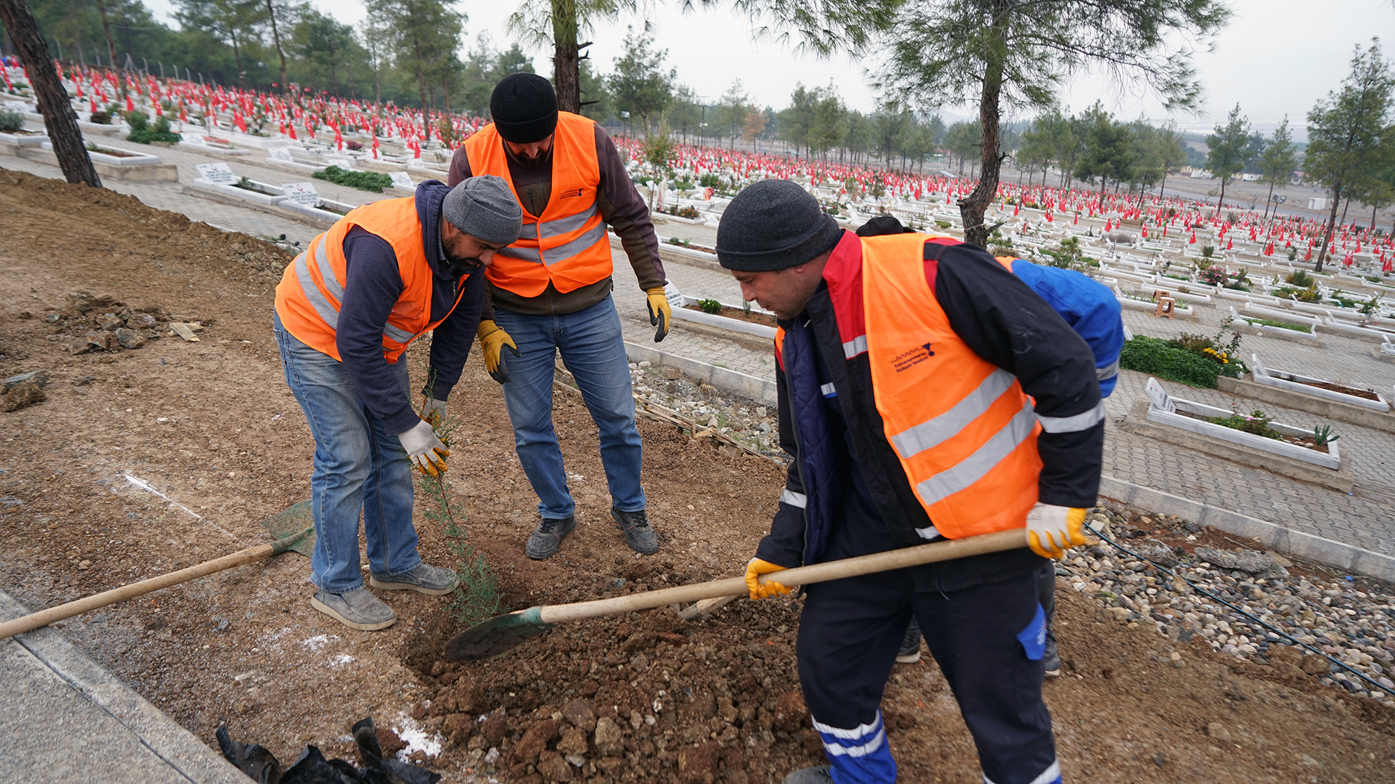 Kapıçam (6)