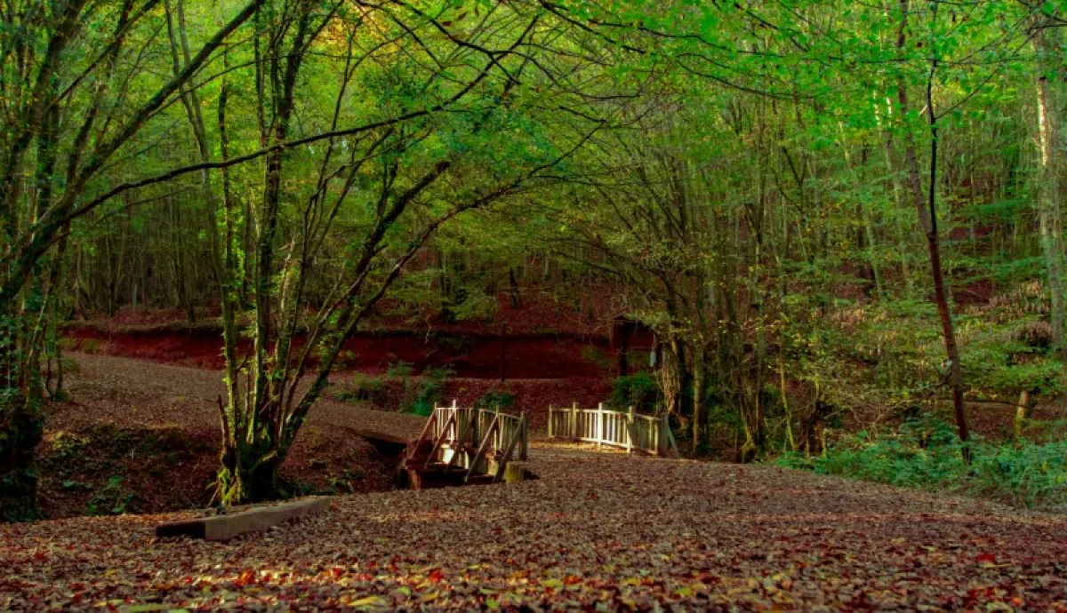 684Addcb66643532 W1200Xh690