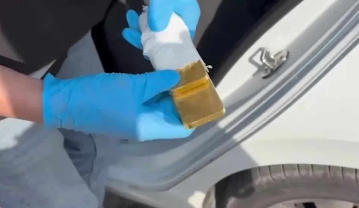 684D2B00Df5Ea492 W1200Xh698