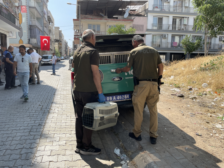 Aa Picture 20250612 38260382