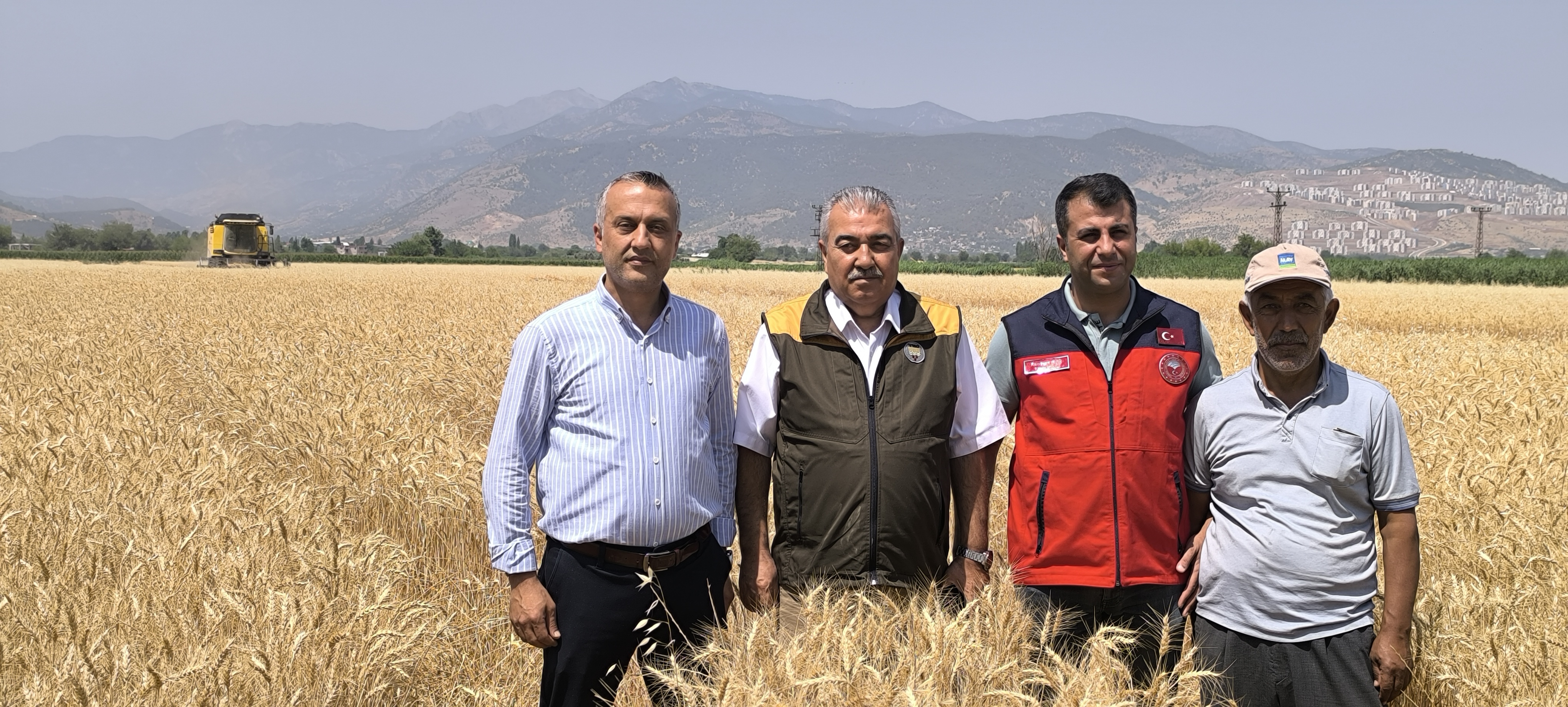 Hasat Mevsi̇mi̇ (1)
