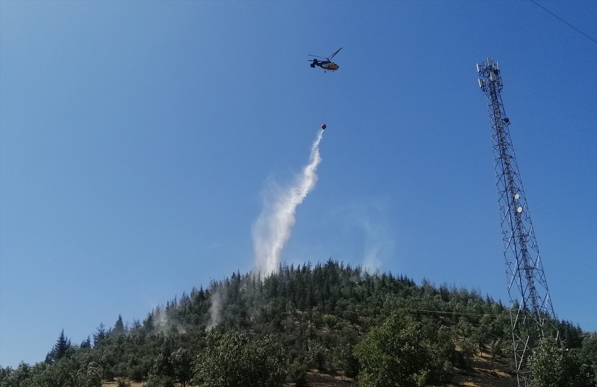 Maraş Orman Yangini Söndürüldü (2)