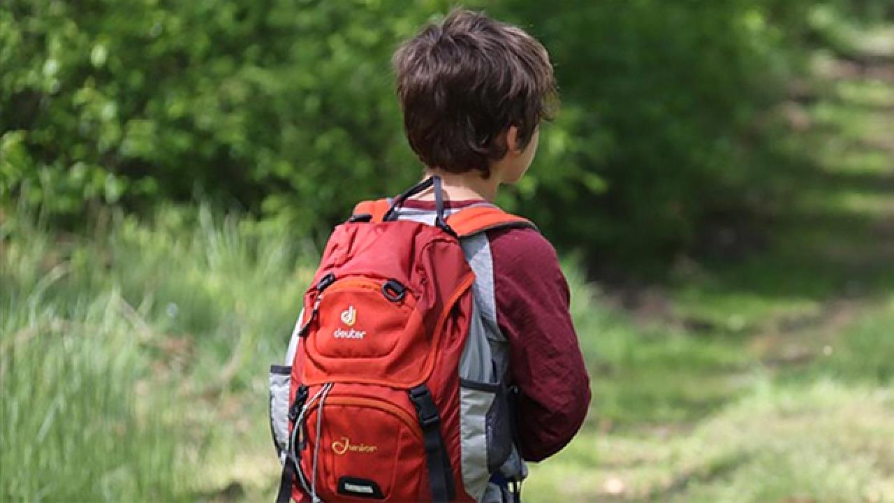 Ogrenci Akran Zorbaligi 2311505