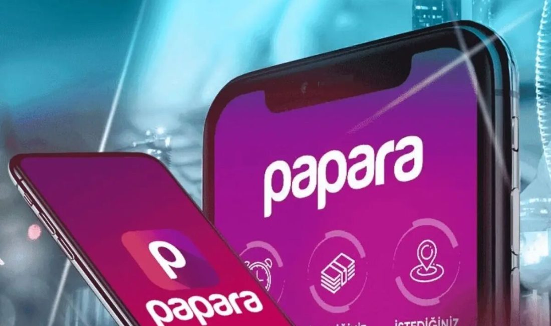 Papara 1 1100X650