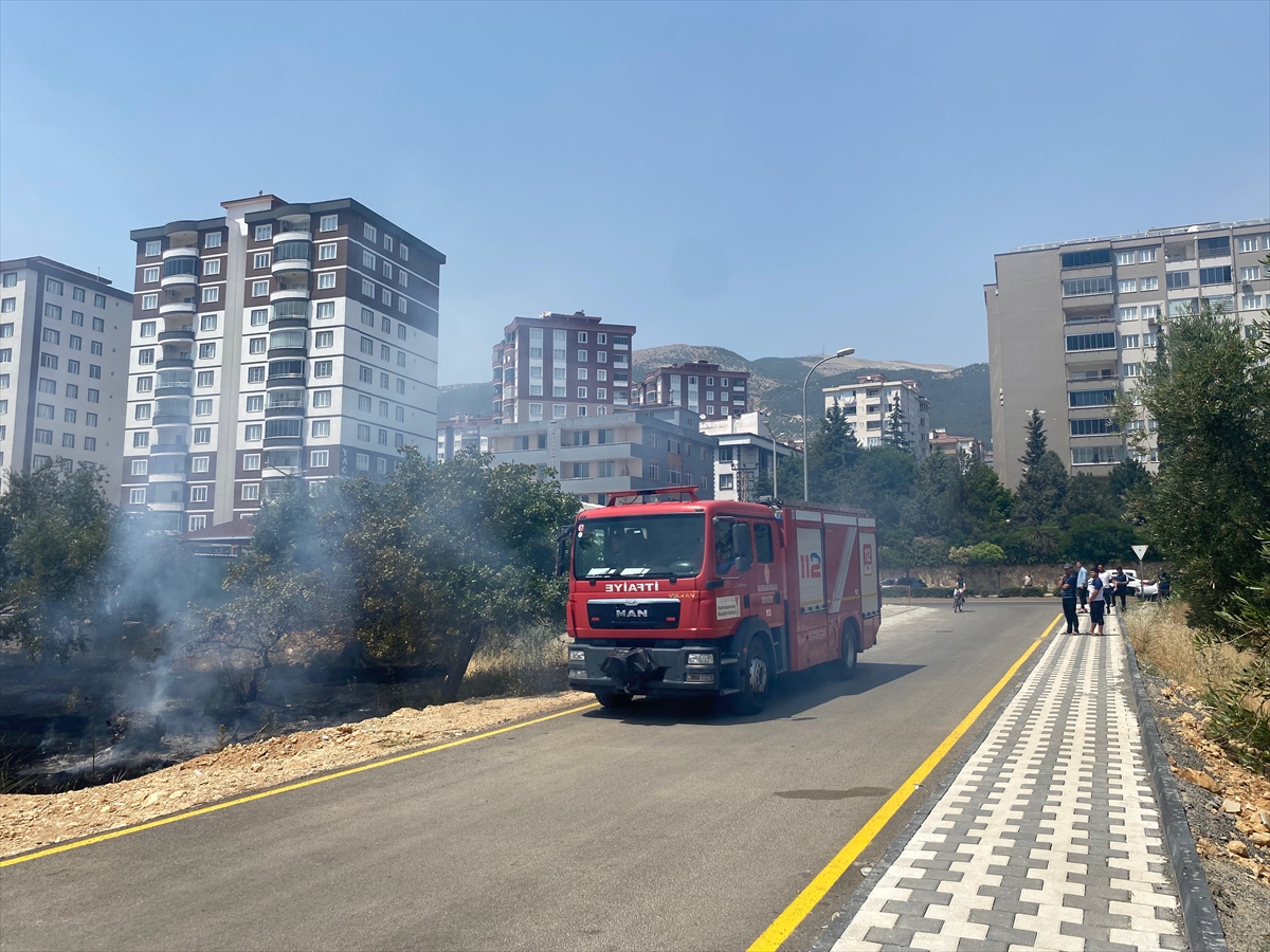 Zeyti̇nli̇k Yangin (1)