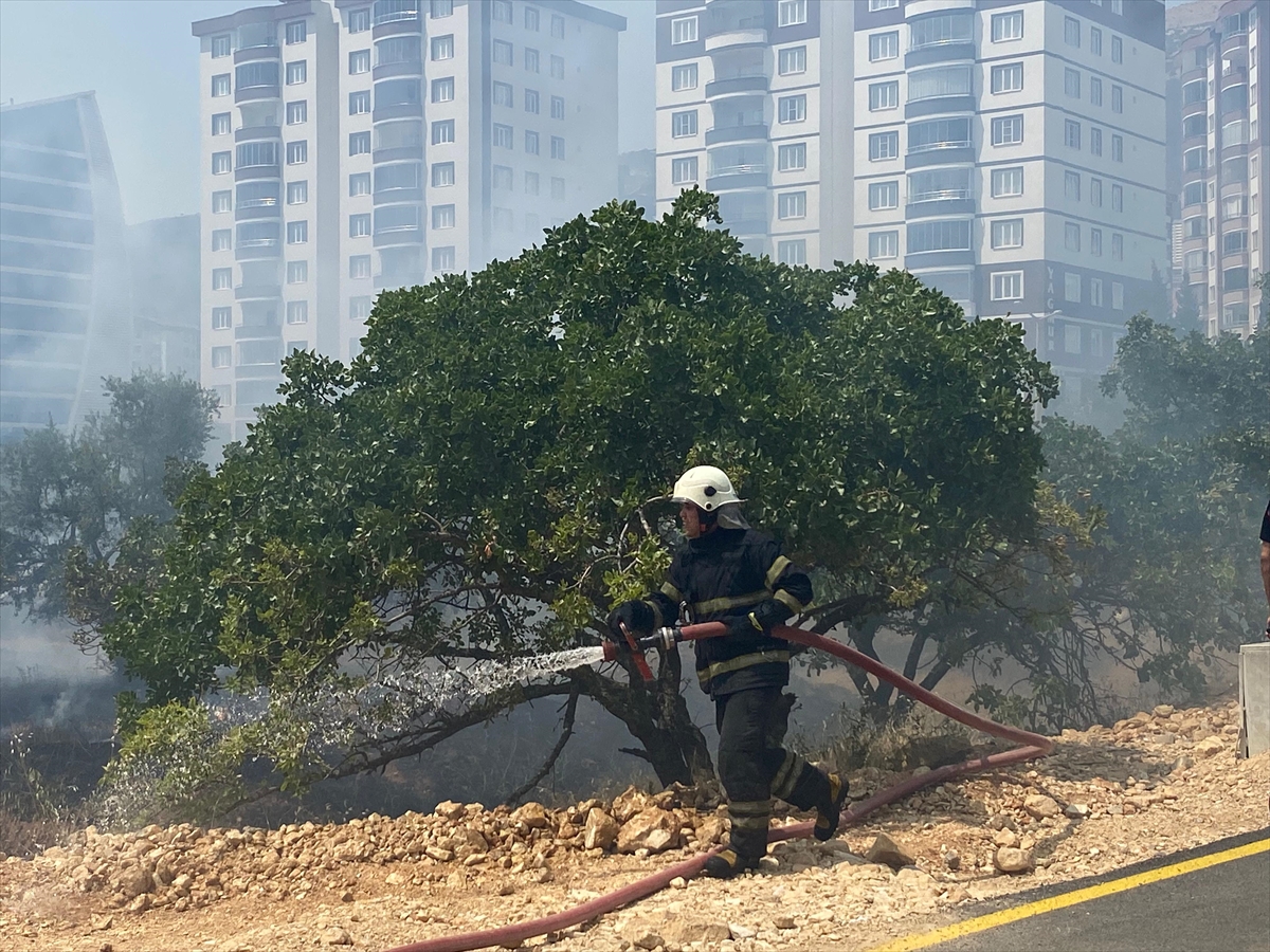 Zeyti̇nli̇k Yangin (2)