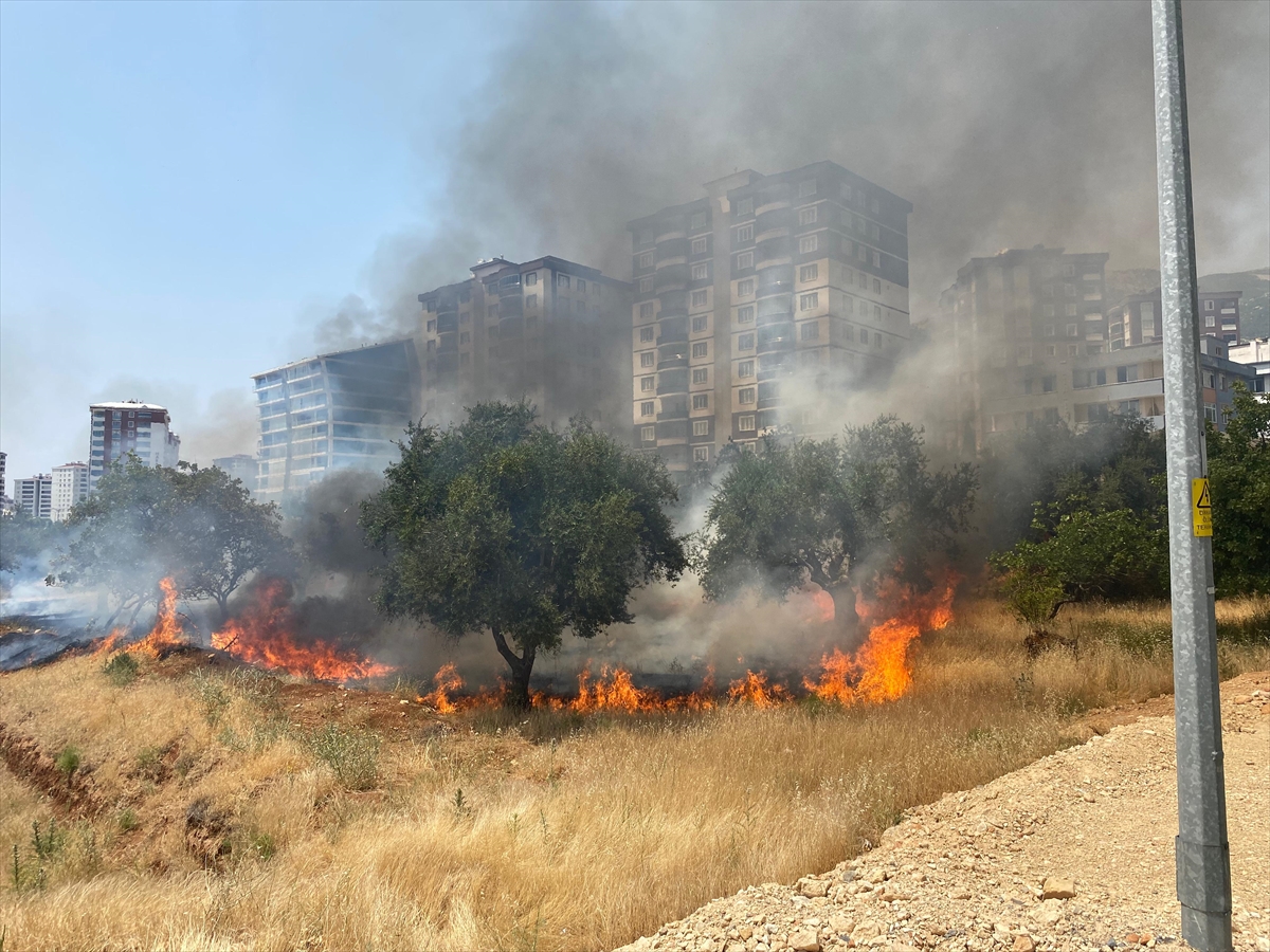 Zeyti̇nli̇k Yangin (4)