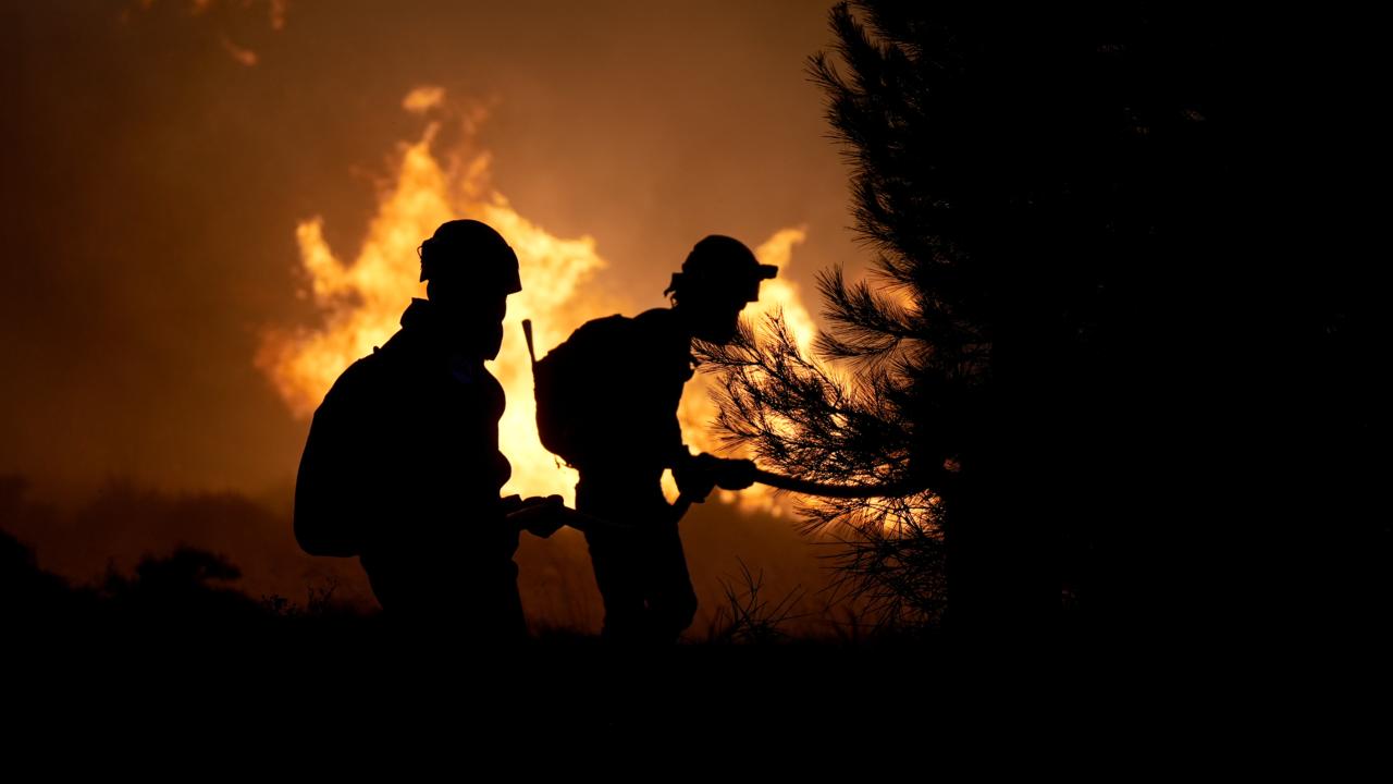 Cesme Orman Yanginiaa 2376426