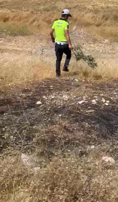 Ekran Görüntüsü 2025 07 03 000707
