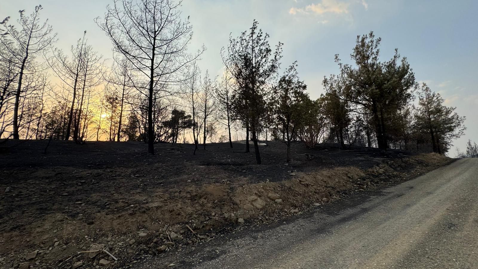 I M G 20250727 W A0015