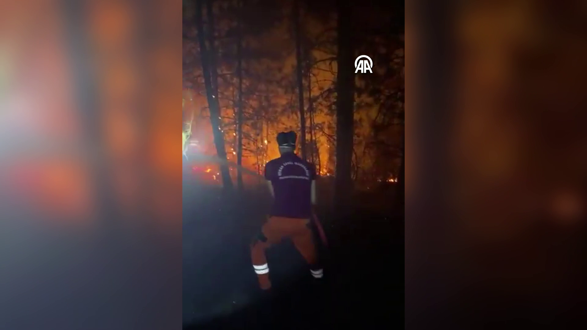 Vlcsnap 2025 07 27 01H30M24S716