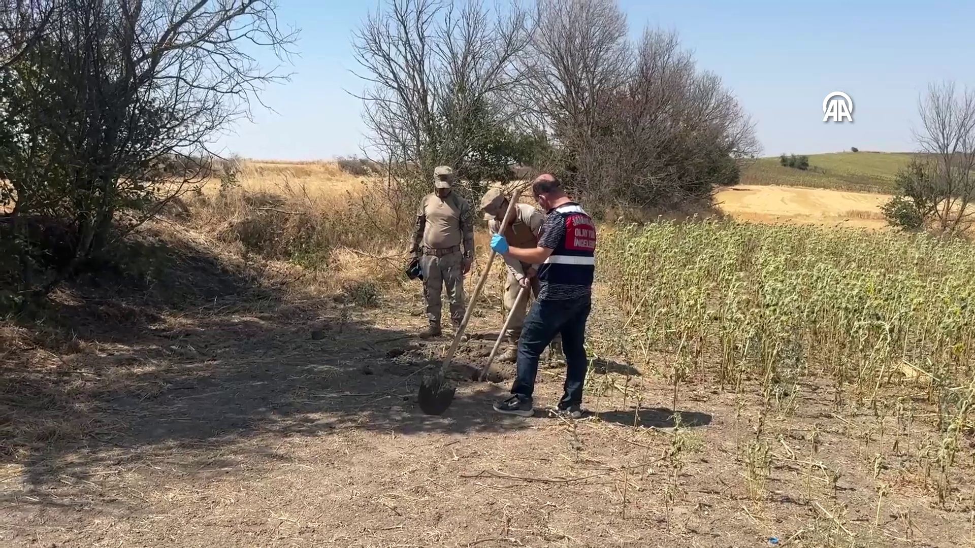 Vlcsnap 2025 07 27 11H24M48S937