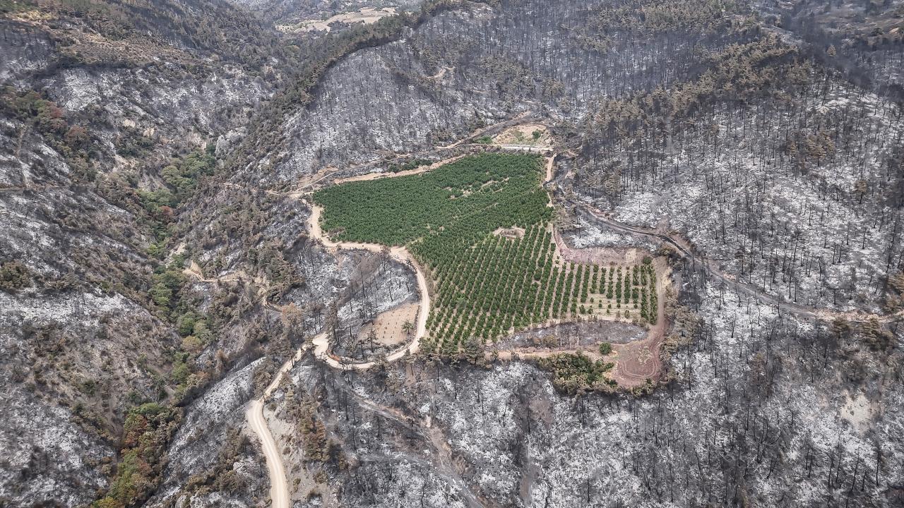 Yangin Bahce Aa 2385141