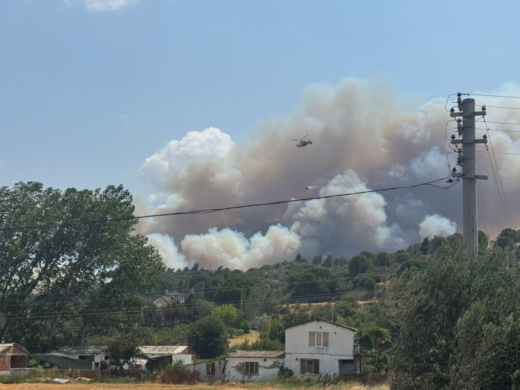 Aa Picture 20250808 38775609