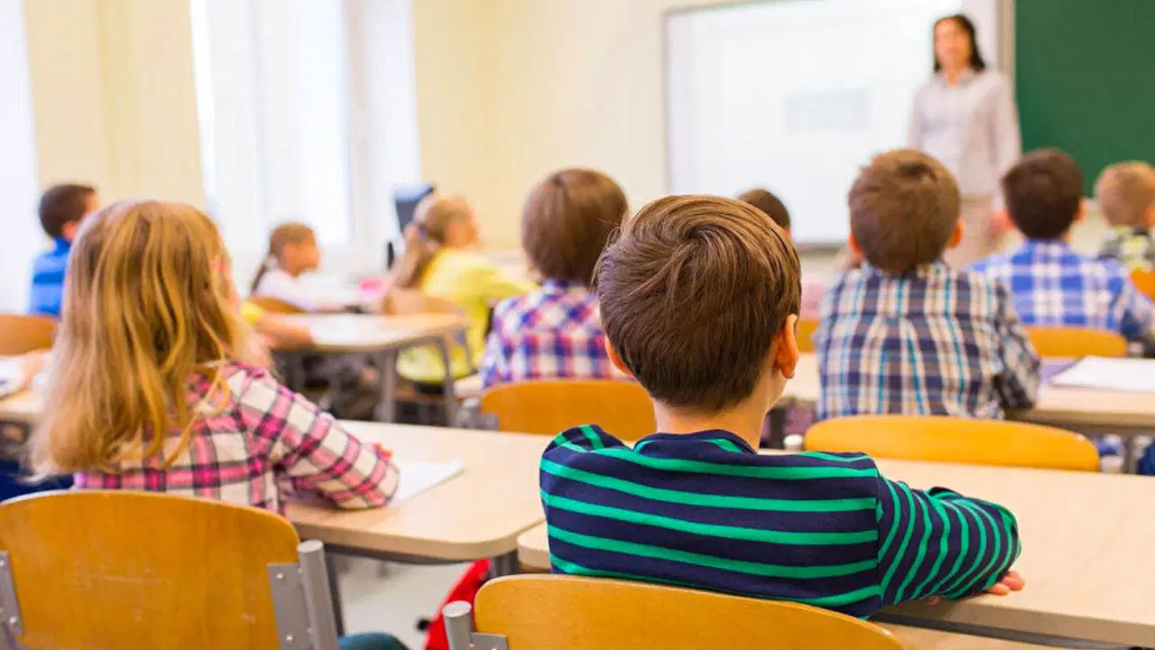 D1Aebfc2 5680 4598 B3Ed 1Ccbb7A64576