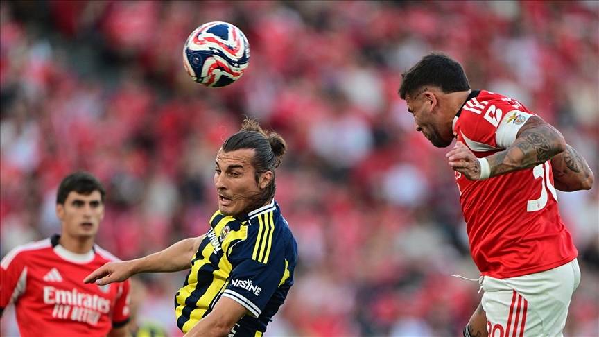 Thumbs B C 48Cfcf5A12C337Fec1Bf74Fd2A9A45A5