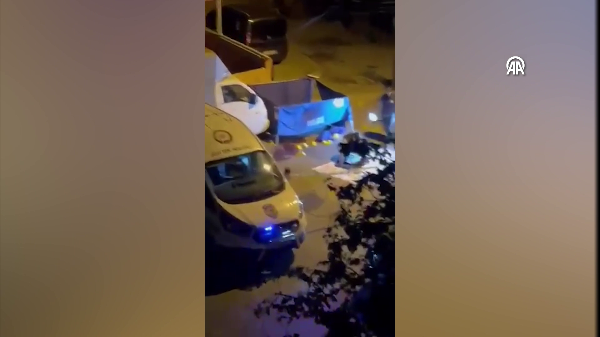 Vlcsnap 2025 08 03 13H55M14S518