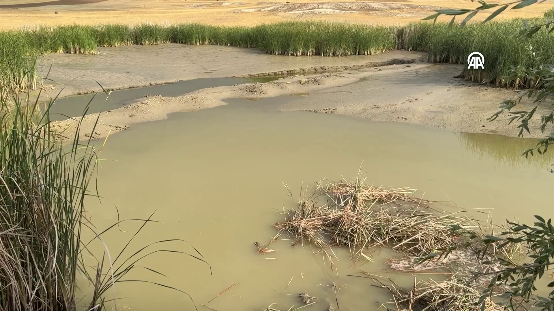 Vlcsnap 2025 08 04 19H31M22S619