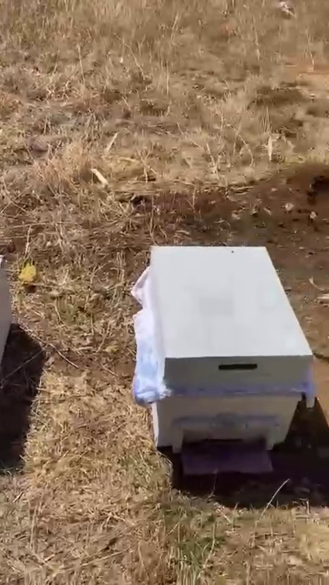 Vlcsnap 2025 08 27 13H14M11S947