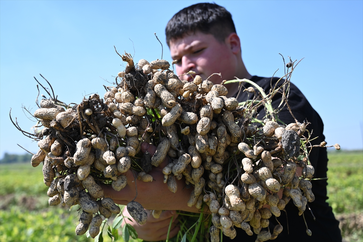 A A 20250917 39141660 39141639 O S M A N I Y E N I N T E S C I L L I Y E R F I S T I G I N D A H A S A T M E S A I S I B A S L A D I