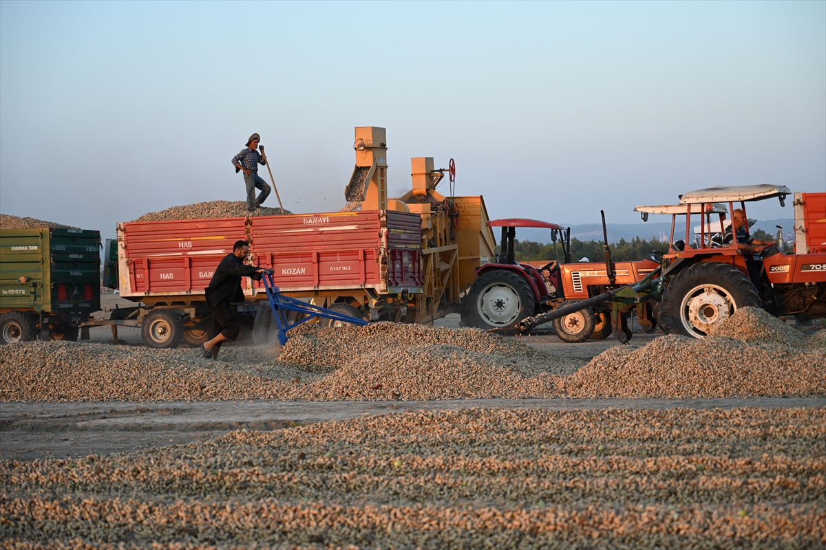 A A 20250917 39141660 39141647 O S M A N I Y E N I N T E S C I L L I Y E R F I S T I G I N D A H A S A T M E S A I S I B A S L A D I