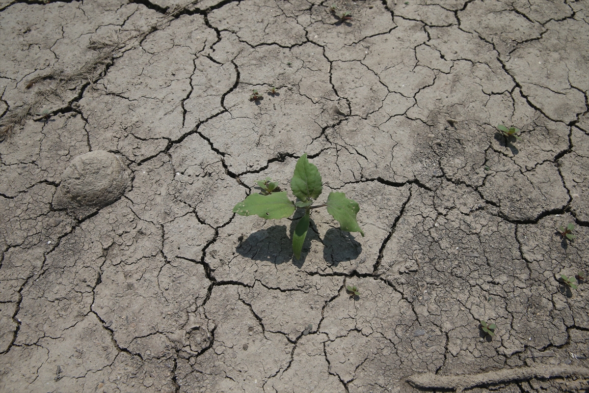 A A 20250924 39210563 39210551 K A H R A M A N M A R A S I N I C M E S U Y U N U K A R S I L A Y A N 3 B A R A J D A D O L U L U K O R A N I D U S T U