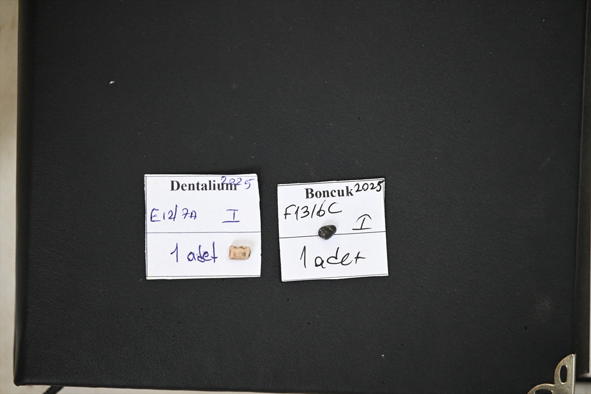 Di̇rekli̇ Mağara (11)