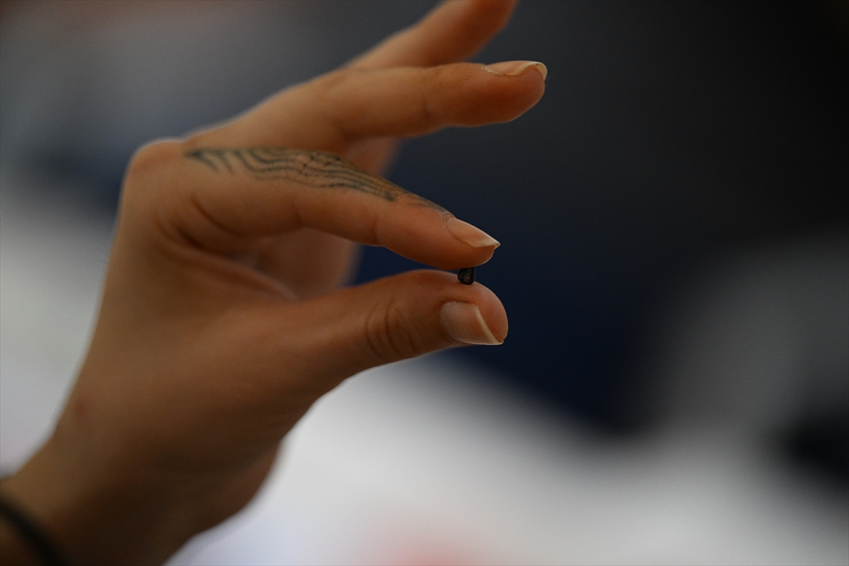 Di̇rekli̇ Mağara (12)