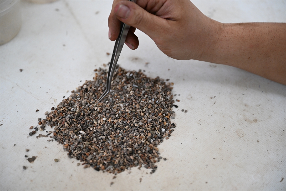 Di̇rekli̇ Mağara (4)