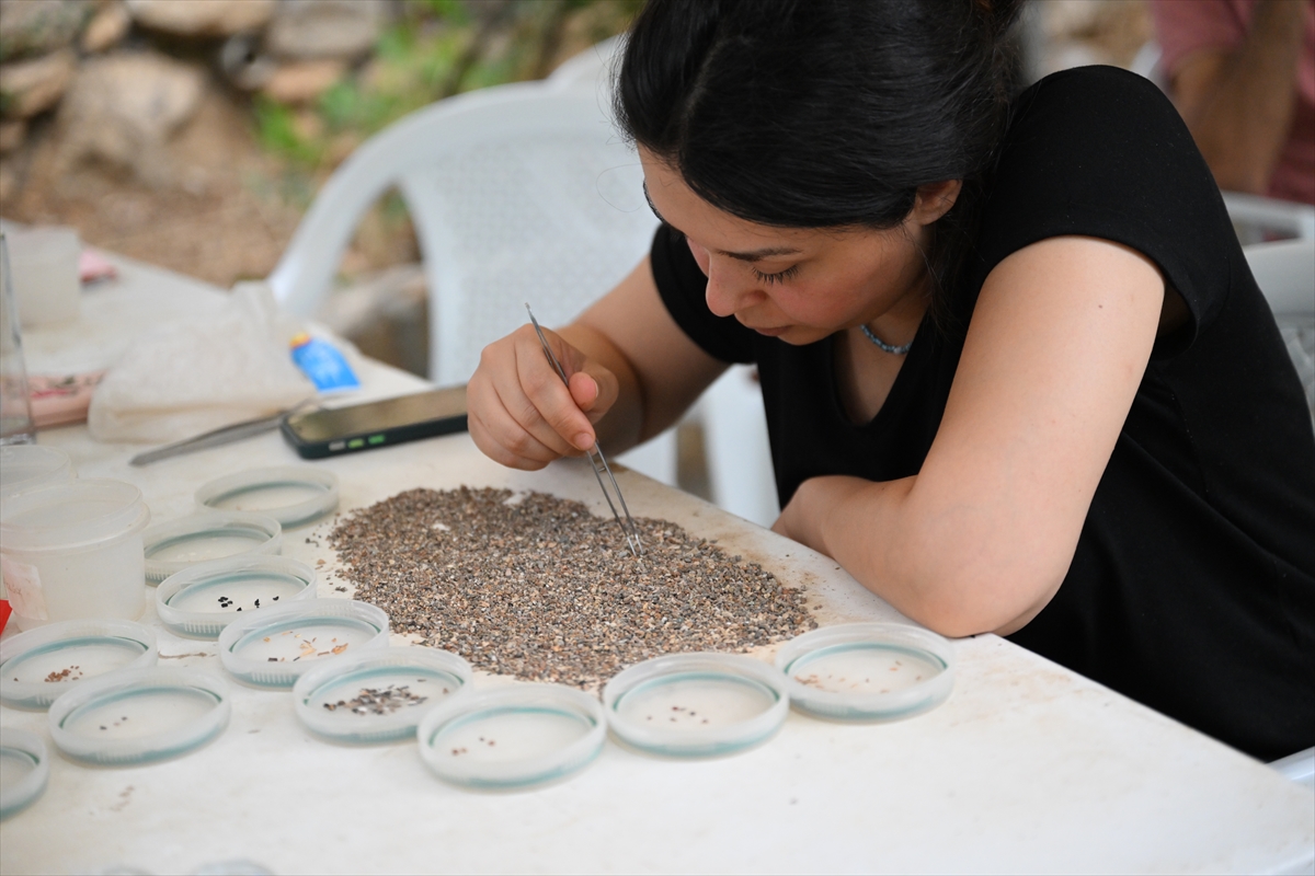 Di̇rekli̇ Mağara (8)