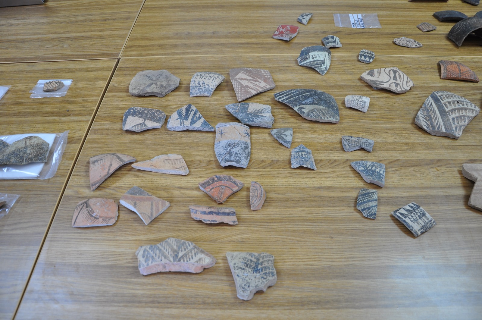 I M G 20250906 W A0004