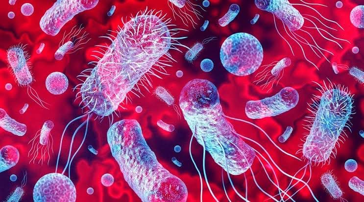 Whats App Image 2024 09 13 At 10.08.57