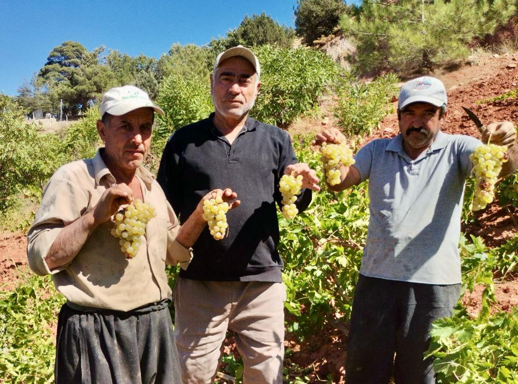 Whatsapp Image 2025 09 27 At 16.12.09 (2)