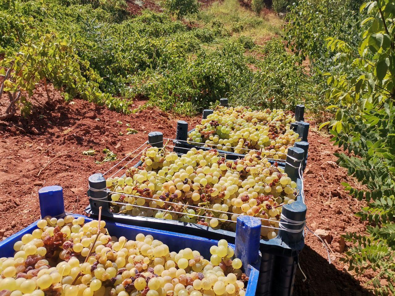 Whatsapp Image 2025 09 27 At 16.12.09