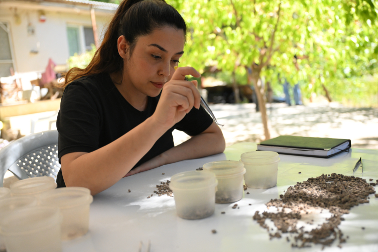 Aa Picture 20251027 39533224