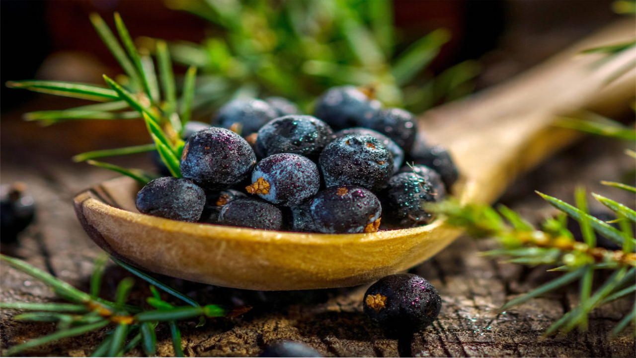 Ardic Katrani Ozu Faydalari 1697737442