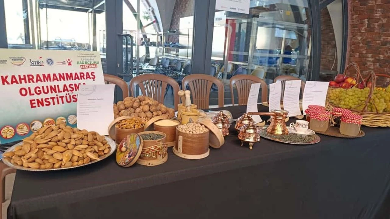 Onikişubat’ta Bağ Bozumu Festivali coşkusu!