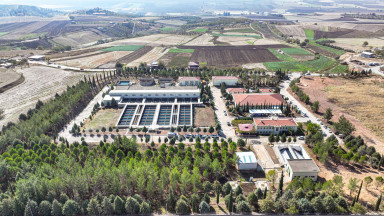 Maraş Bş Ayvali (7)