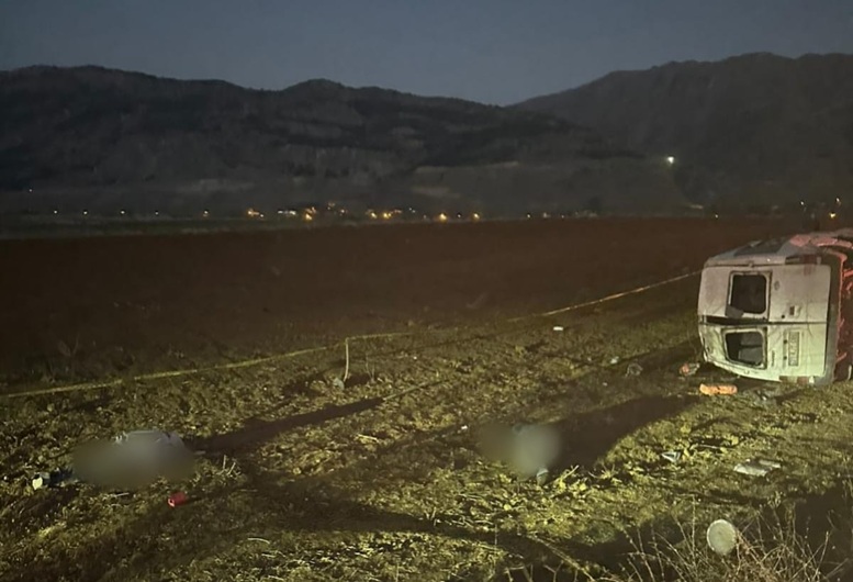 3 Google Ers 1762618522