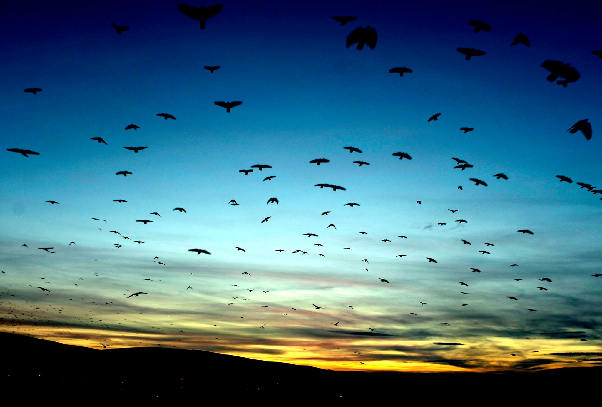 512000161 10090368254364618 5164169642285140065 N