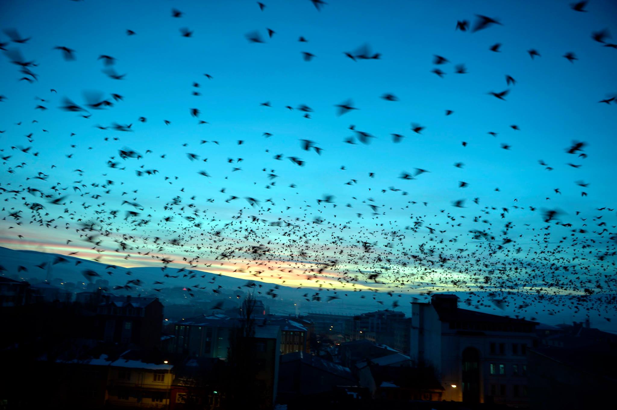 514369471 10090368674364576 4395755759915629122 N