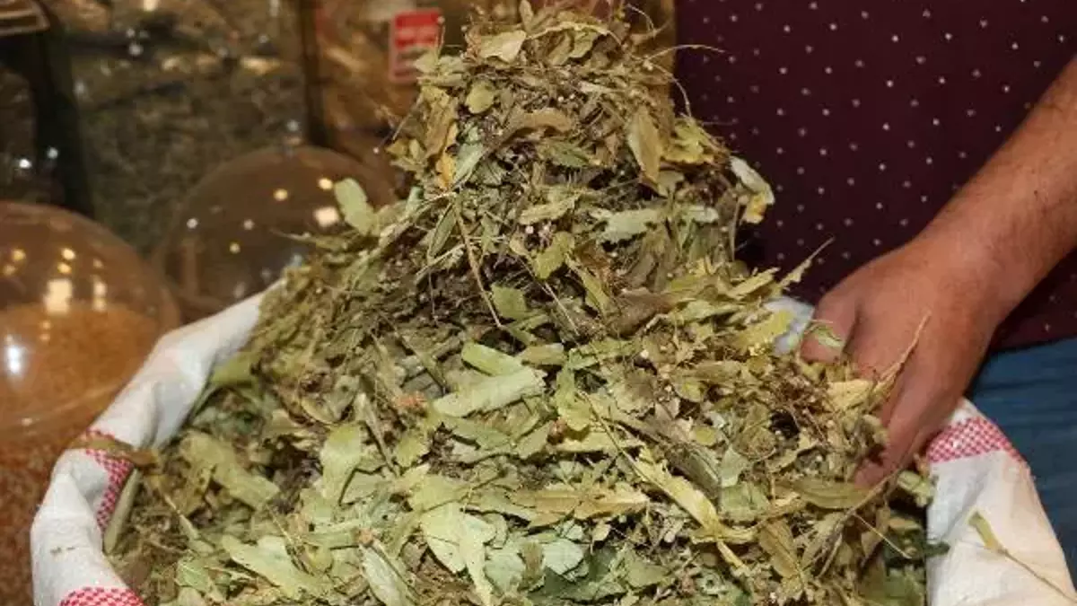 5F992Cd62Af1071F843Ed5C8