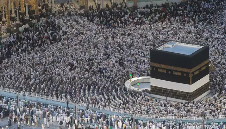 690Ad88C3B681Ccda5137B3E