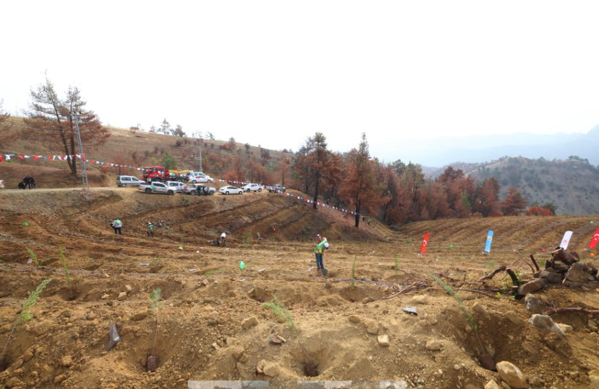 Ekran Görüntüsü 2025 11 11 153251