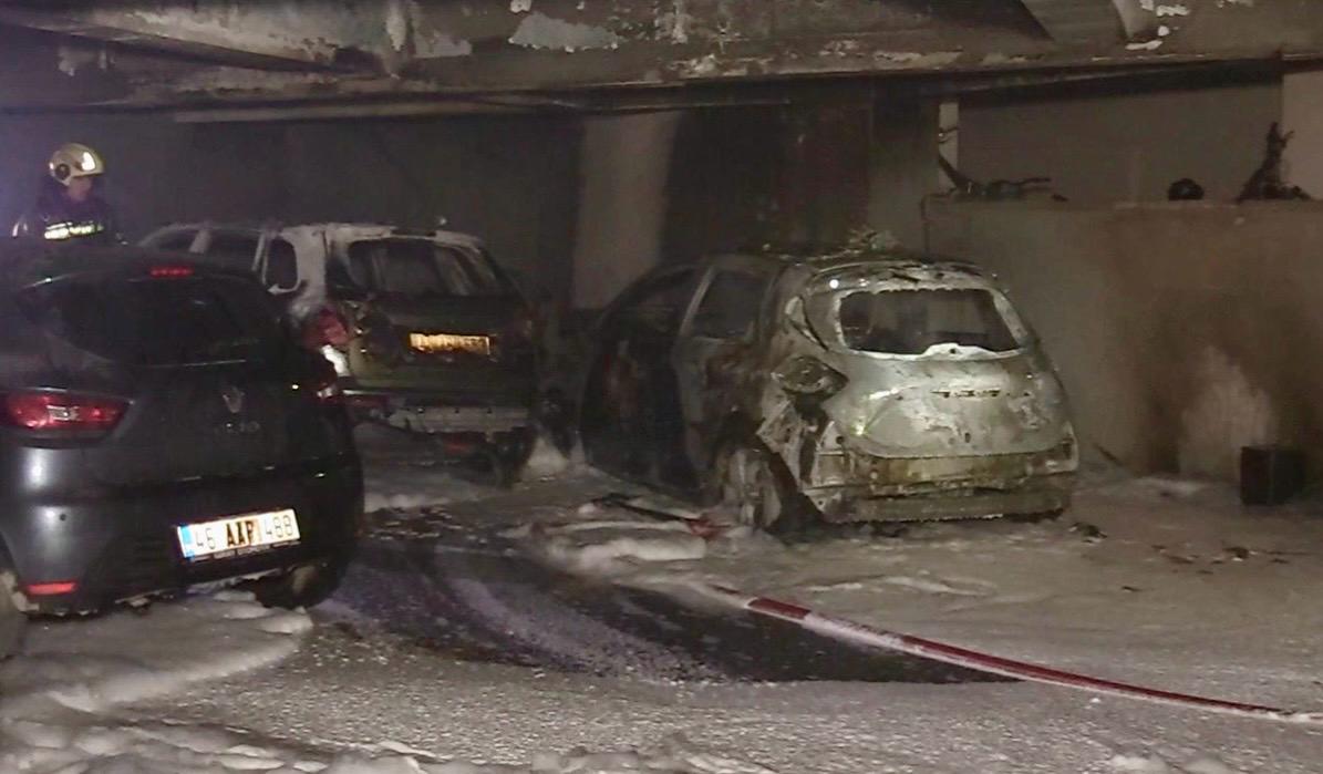 I M G 20251113 W A0047