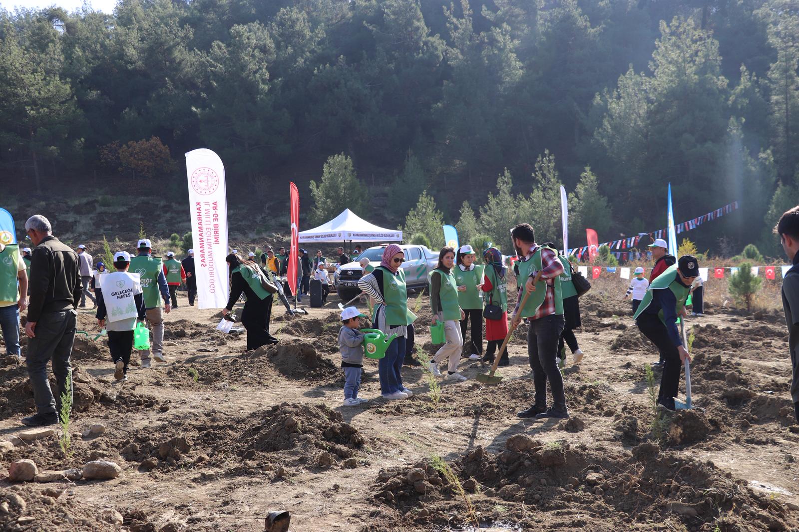 I M G 20251122 W A0030