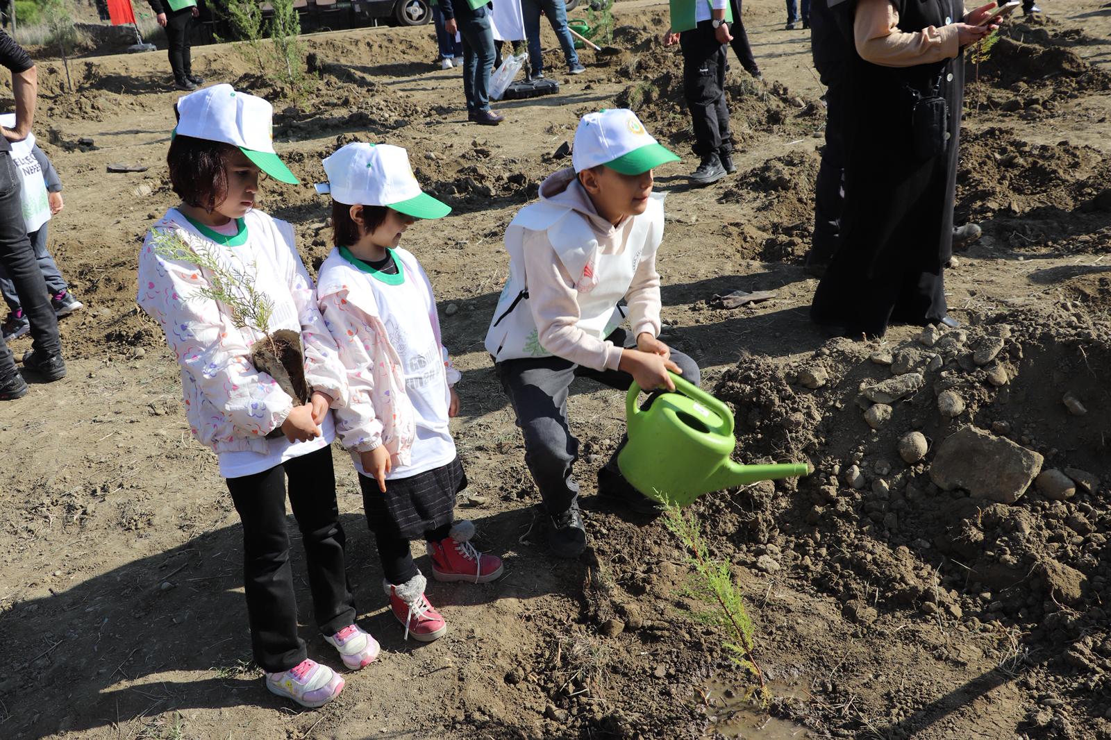 I M G 20251122 W A0031